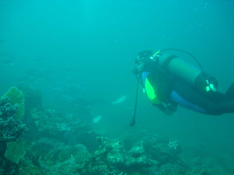 Plongée sous marine