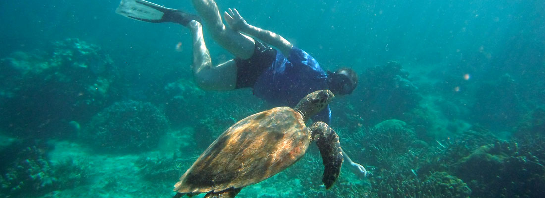 snorkeling-nosy-tanikely